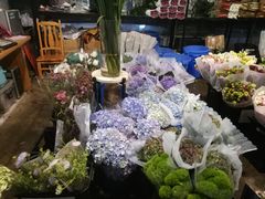 -三圣花乡旅游区