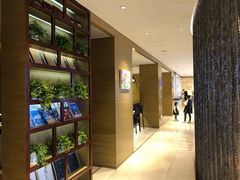 -青岛富力艾美酒店