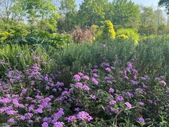 -重庆中央公园(渝北区)