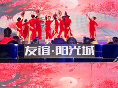 -友谊阳光城