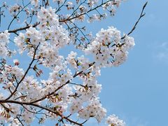 -龙美术馆(西岸馆)