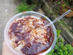 -潘玉麟糖粥
