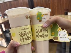 -猫的魔法密林(衣裳街店)