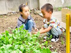 -上海市宝山星佑博爱幼儿园