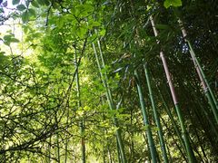 -沕沕水生态风景区