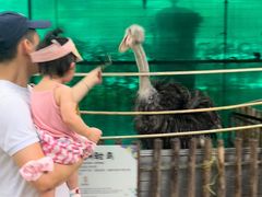 -史努比缤纷世界