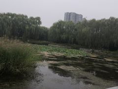 -望湖公园