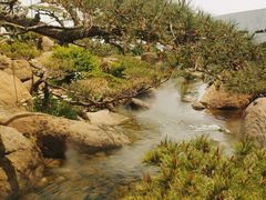 -罗红摄影艺术馆