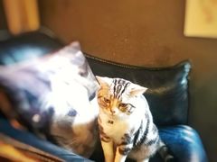 -咖法森林·咖啡  酒吧(天河店)