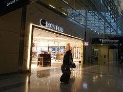 -达拉斯 沃斯堡国际机场