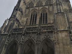 -斯蒂芬主教座堂(Stephansdom)