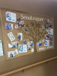 -上海首尔丽格医疗美容医院