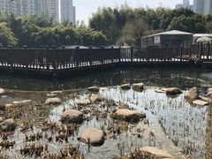 -苏州河梦清园环保主题公园