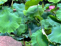 -昆明市金殿名胜区