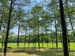 -宜兴龙背山森林公园
