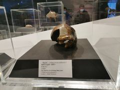 -北京周口店北京人遗址博物馆