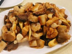 八珍豆腐-奥华餐厅·老张记(台基厂店)