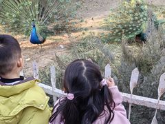 -保定市动物园