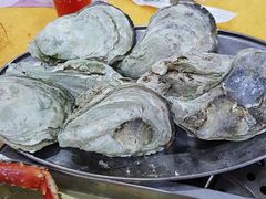 -蚝专家(北滘店)