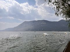 -海埂大坝
