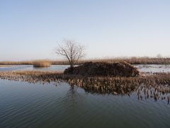-苏州太湖湖滨国家湿地公园