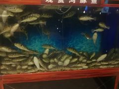 -肆月河豚·新淮扬(金融街店)