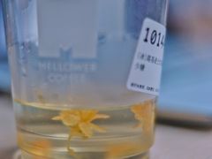 -麦隆咖啡(北大店)