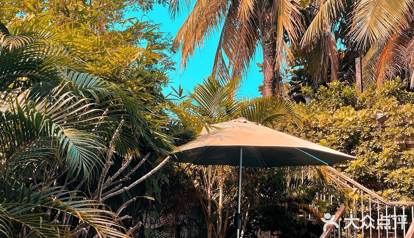 三亚旅游｜人均100入住超ins椰林🌴 