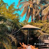 三亚旅游｜人均100入住超ins椰林🌴 