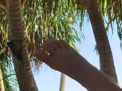 -玫瑰海岸文化旅游度假区