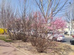 -京津佛罗伦萨小镇