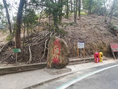 -佛山市三水区大南山森林公园