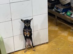 -刘臣街燃面