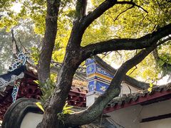 -乌山风景区