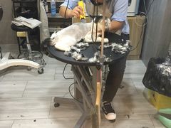-悠尼宠物·独立低压伊珊娜洗护·美容·寄养(兰谷路店)