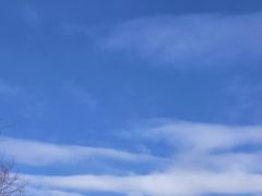 -横道河子东北虎林园