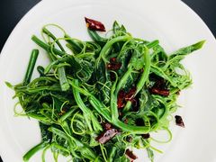 -云里小坐·小院里·团建·宴请·下午茶(三圣乡店)