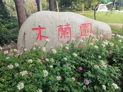 -上海滨江森林公园