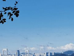 -星海湾跨海大桥