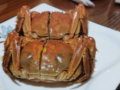 -呼吸森林·生态农庄农家乐私房菜