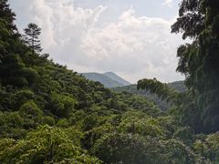 -藏龙百瀑风景区