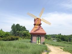 -杭州湾海上花田景区