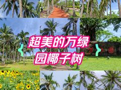 -万绿园