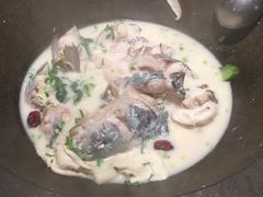 -鲜潭蒸汽石锅鱼(五道口购物中心店)