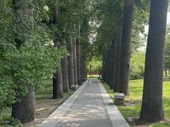 -晋祠公园