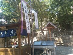 -古北烤梨