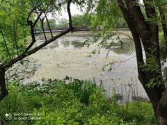 -西溪国家湿地公园