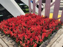 -莫内艺术岛海景咖啡