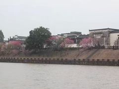 -新安江山水画廊风景区