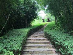 -天目湖涵田度假村